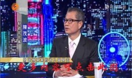 凤凰最新爆料新闻视频,最新爆料新闻视频深度解析